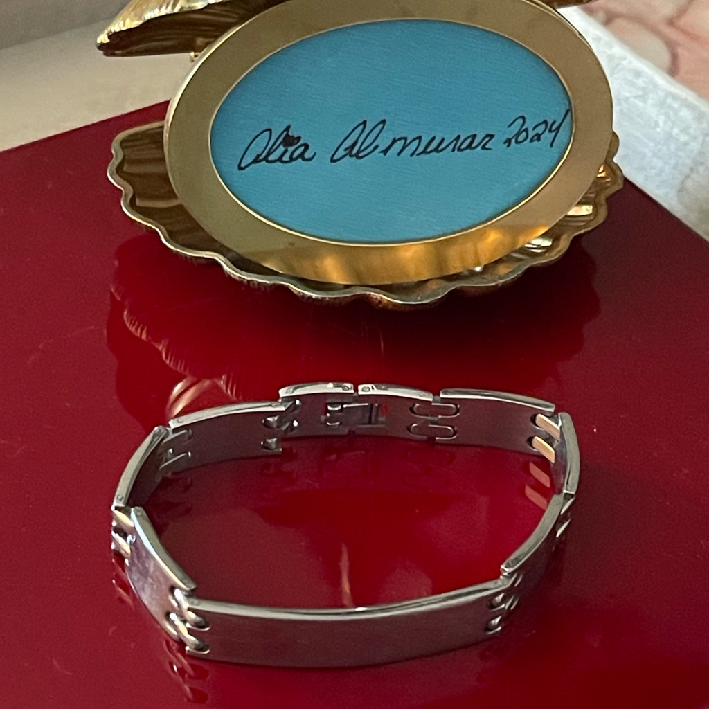 Titanium Bracelet